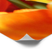 Tulpen Poster (Ecke)