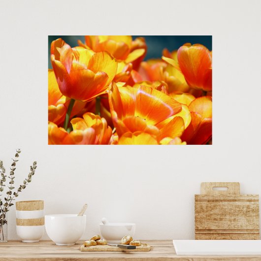 Tulpen Poster (Küche)