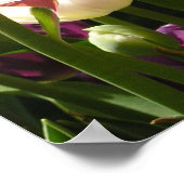 Tulpen Poster (Ecke)