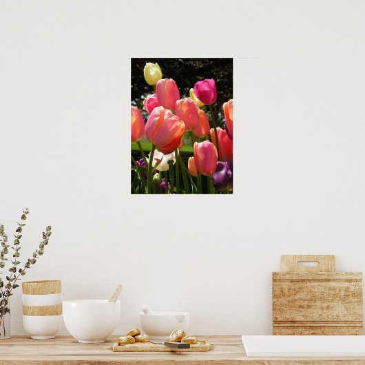 Tulpen Poster (Küche)