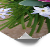 Tulpen Poster Kleine Dinge Frühlingsgarten (Ecke)