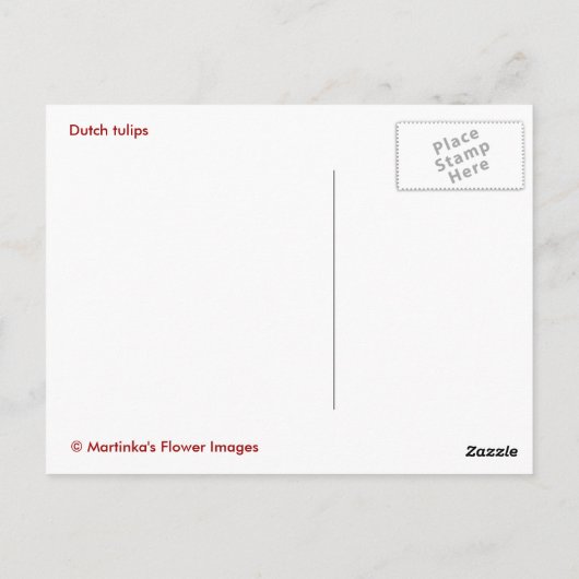 Tulpen Postkarte (Rückseite)
