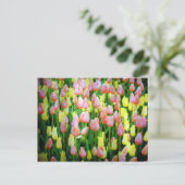 Tulpen Postkarte (Stehend Vorderseite)
