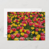 Tulpen. Postkarte (Vorne/Hinten)
