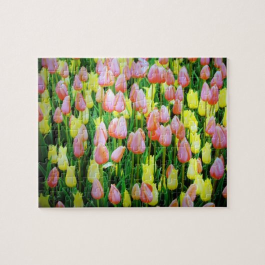 Tulpen Puzzle (Horizontal)