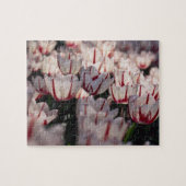 Tulpen Puzzle (Horizontal)