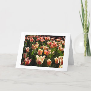 Tulpen reichlich feiertagskarte