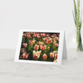 Tulpen reichlich feiertagskarte (Vorderseite)
