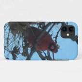 Tulpen Rot Case-Mate iPhone Hülle (Rückseite (Horizontal))