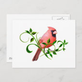 Tulpen Rot Postkarte (Vorne/Hinten)