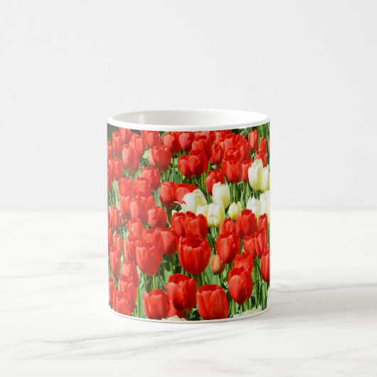 Tulpen, rot und weiß kaffeetasse (Mittel)