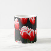 Tulpen, rot und weiß kaffeetasse (Mittel)