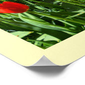 Tulpen, rot und weiß poster (Ecke)
