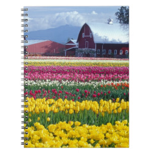 Tulpen-Schaufläche Notizblock