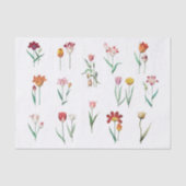 Tulpen Seidenpapier (Vorderseite)