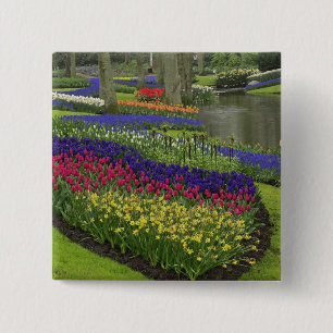 Tulpen, Traubenhyazinthen und Narzissen, Button