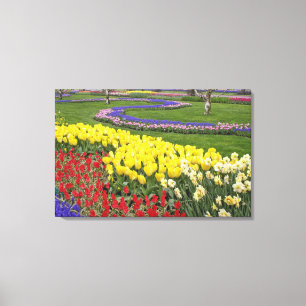Tulpen, Traubenhyazinthen und Narzissen, Leinwanddruck