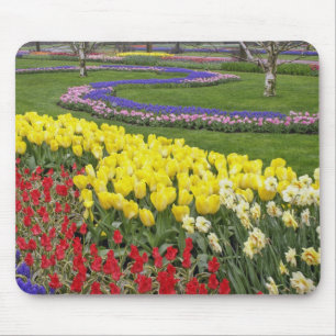 Tulpen, Traubenhyazinthen und Narzissen, Mousepad