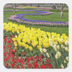 Tulpen, Traubenhyazinthen und Narzissen, Quadratischer Aufkleber