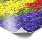 Tulpen, Traubenreste und Affodilen, 2 Fotodruck (Ecke)