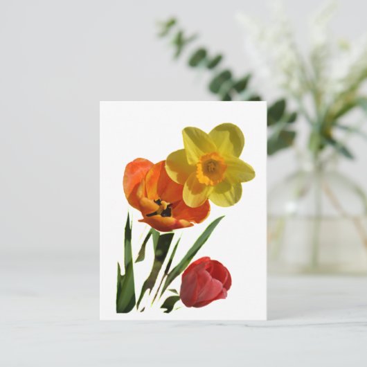 Tulpen und Blume Postkarte (Stehend Vorderseite)