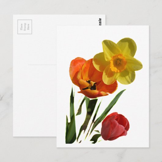 Tulpen und Blume Postkarte (Vorne/Hinten)
