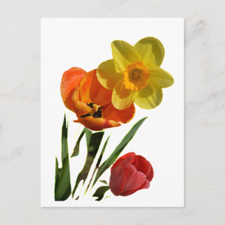 Tulpen und Blume Postkarte