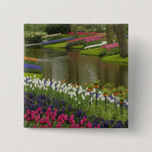 Tulpen- und Hyazinthen-Garten, Keukenhof-Gärten, 2 Button