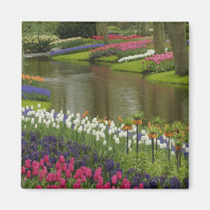 Tulpen- und Hyazinthen-Garten, Keukenhof-Gärten, 2 Magnet