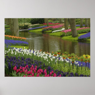 Tulpen- und Hyazinthen-Garten, Keukenhof-Gärten, 2 Poster