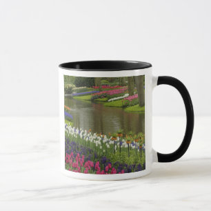 Tulpen- und Hyazinthen-Garten, Keukenhof-Gärten, 2 Tasse