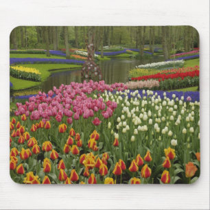 Tulpen- und Hyazinthen-Garten, Keukenhof-Gärten, Mousepad