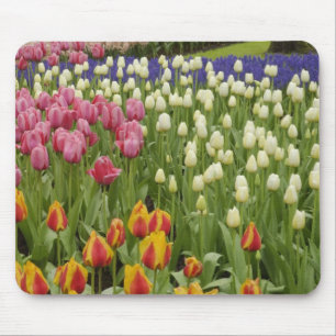 Tulpen- und Hyazinthen-Garten, Keukenhof-Gärten, Mousepad