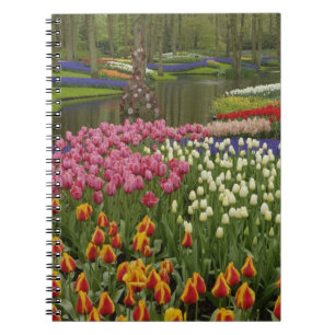 Tulpen- und Hyazinthen-Garten, Keukenhof-Gärten, Notizblock
