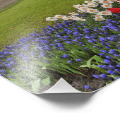 Tulpen und Narzellen, Keukenhof Gardens, Fotodruck (Ecke)