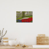 Tulpen und Narzellen, Keukenhof Gardens, Poster (Küche)