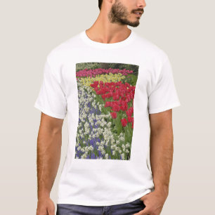 Tulpen- und Narzissengarten, Keukenhof-Gärten, T-Shirt