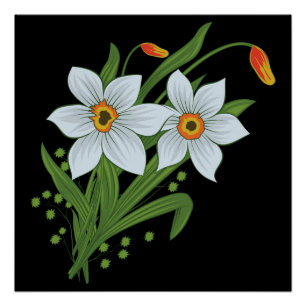 Tulpen und Osterglocken Blumen schwarzer Hintergru Poster