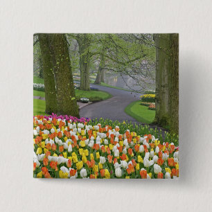 Tulpen und Straße, Keukenhof-Gärten, Lisse, Button