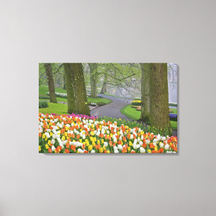 Tulpen und Straße, Keukenhof-Gärten, Lisse, Leinwanddruck