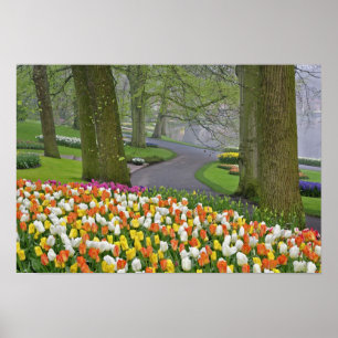 Tulpen und Straße, Keukenhof-Gärten, Lisse, Poster
