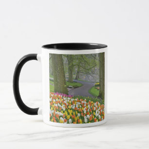 Tulpen und Straße, Keukenhof-Gärten, Lisse, Tasse