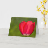 Tulpen und Tulpen Karte (Gelbe Blume)