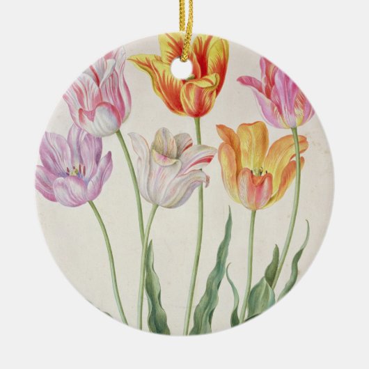Tulpen, vom "NassauFlorilegium" (w/c auf pape Keramikornament (Vorne)