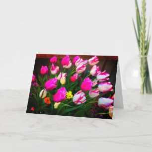 Tulpen Weihnachtstraum und Affaire #1 Karte