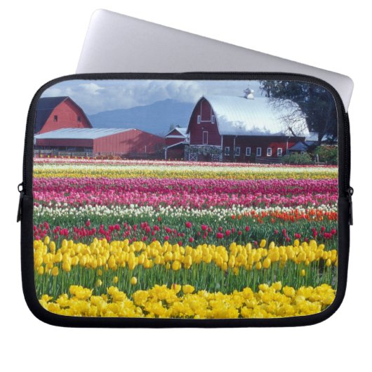 Tulpenauffeld Laptopschutzhülle (Vorderseite)