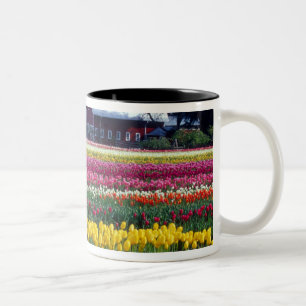 Tulpenauffeld Zweifarbige Tasse