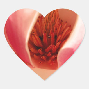 Tulpenbaum Herz-Aufkleber