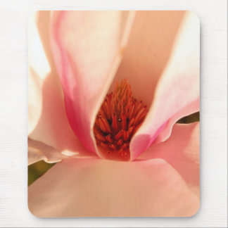 Tulpenbaum Mousepad