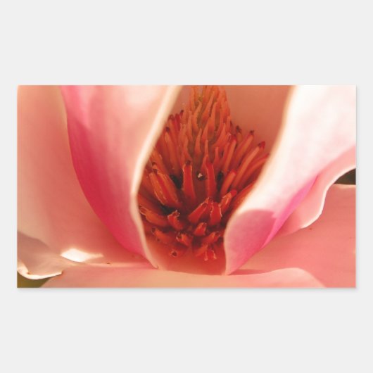 Tulpenbaum Rechteckiger Aufkleber (Vorderseite)